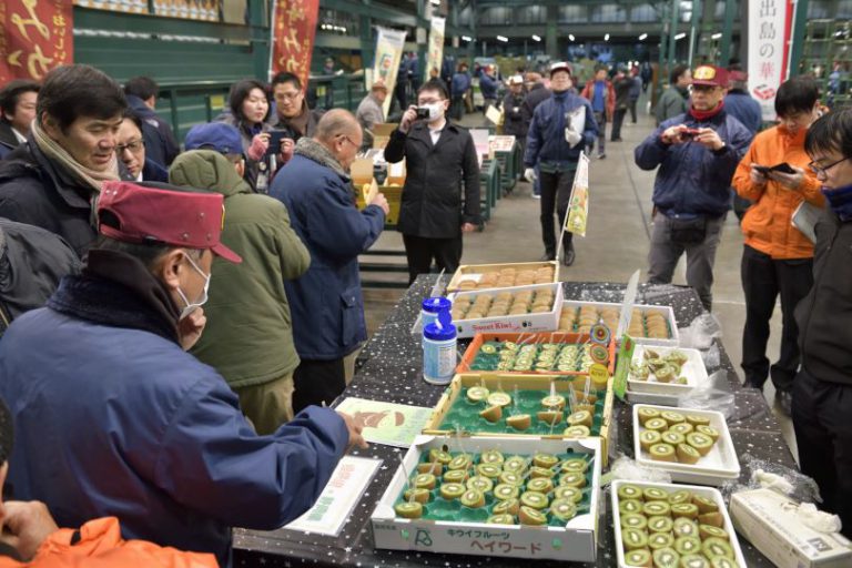 『国産キウイの日』試食宣伝会を開催 くだもの農協